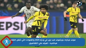 موعد مباراة دورتموند ضد ليل في وديّة 2025 والقنوات التي تنقل اللقاء مباشرة – تعرف على التفاصيل